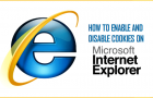 Enable and Disable Cookies on Internet Explorer