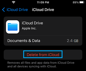 Delete Documents and Data from iCloud Option on iPhone