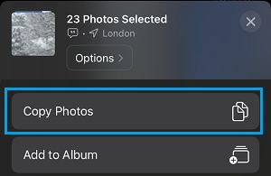 Copy Option Photos App iPhone