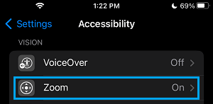 Accessibility Zoom Settings Option on iPhone