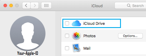 Provide Mac with iCloud Drive Access