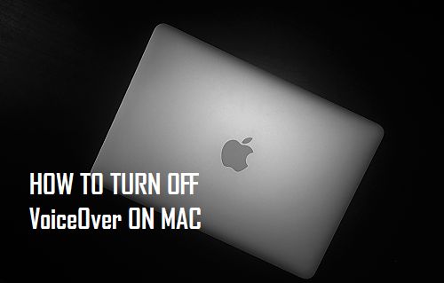 How To Turn Off VoiceOver On Mac Techbout