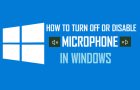 Disable Microphone in Windows