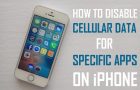 Disable Cellular Data for Specific Apps on iPhone