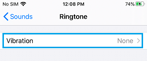 Vibration Pattern Settings Option on iPhone