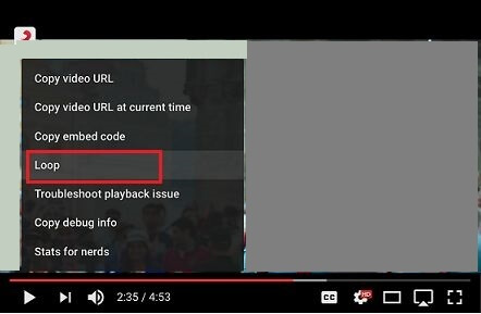 Loop Option in YouTube on Computer