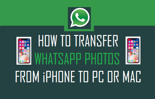android iphone whatsapp transfer + for mac