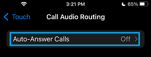 Auto-Answer Calls Settings Option on iPhone