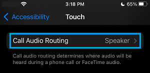 Call Audio Routing Settings Option on iPhone