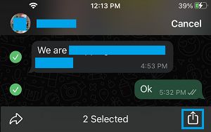 Share Messages Icon in WhatsApp iPhone
