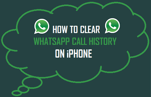 Clear WhatsApp Call History On iPhone