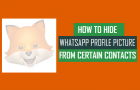 Hide WhatsApp Profile Picture From Certain Contacts