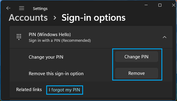 Change or Remove PIN Password Option in Windows