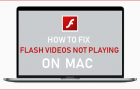 Fix Flash Videos Not Playing on Mac