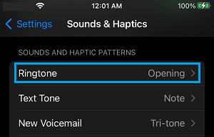 Ringtone Settings Option on iPhone