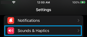 Sounds & Haptics Settings Option on iPhone