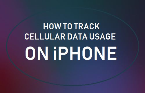 How to Check Data Usage on iPhone - 63