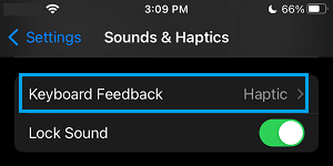 Keyboard Feedback Settings Option on iPhone