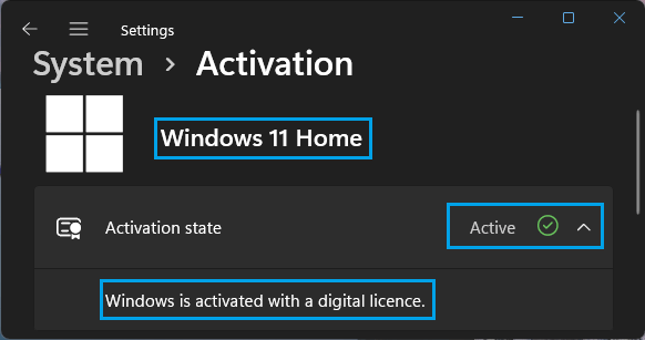 Windows 11 Activation Status