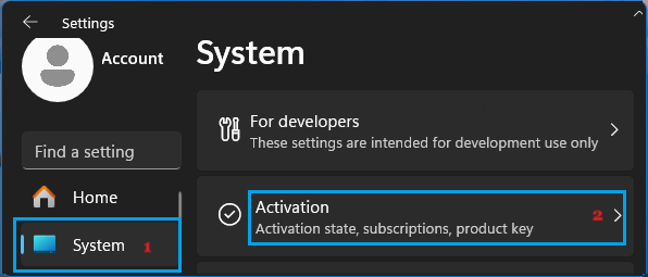 Windows 11 Activation Settings Tab