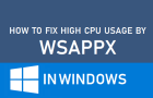 High CPU Usage By WSAPPX