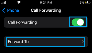 Forward Calls to Settings Option on iPhone