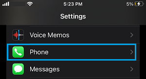 Phone App Settings Option on iPhone