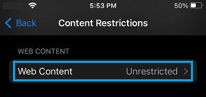 Web Content Setting Option on iPhone