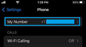 Your Phone Number on iPhone