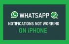 WhatsApp Notifications Not Working on iPhone