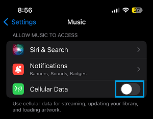 Disable Cellular Data For Music on iPhone