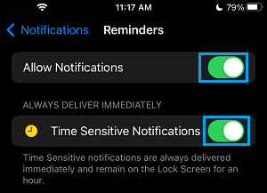 Enable Reminder Notifications on iPhone