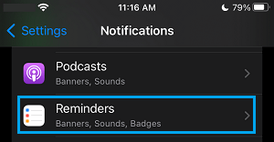 Reminder Notifications Settings Option on iPhone