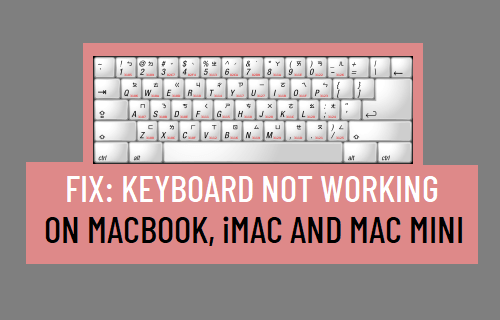 Keyboard Not on Mac