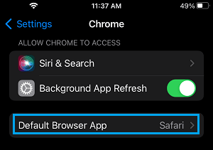 Default Browser Settings Option on iPhone