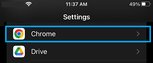 Google Chrome on iPhone Settings Screen