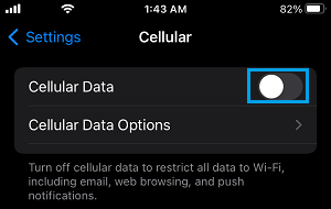 Disable Cellular Data for All Apps on iPhone