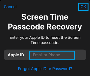 Screen Time Passcode Recovery Screen on iPhone