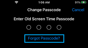 Forgot Passcode Option on iPhone