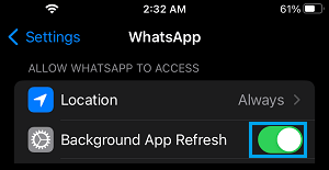 Enable Background App Refresh for WhatsApp on iPhone