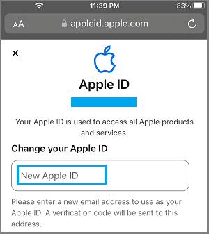 Enter New Apple ID Email Address