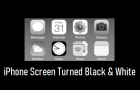 iPhone Screen Turned Black and White