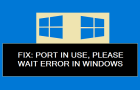 Port in use Error in Windows