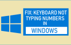 Keyboard Not Typing Numbers in Windows 10/11