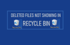 Deleted Files Not Showing in Recycle Bin