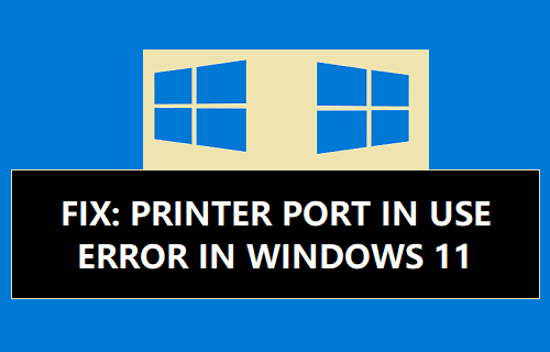 Fix: Port in use, please wait Error in Windows 11/10 - Techbout