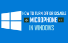 Disable Microphone in Windows 11