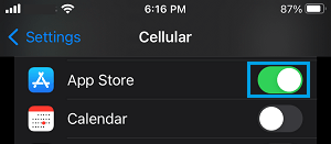 Enable Cellular Data For App Store on iPhone